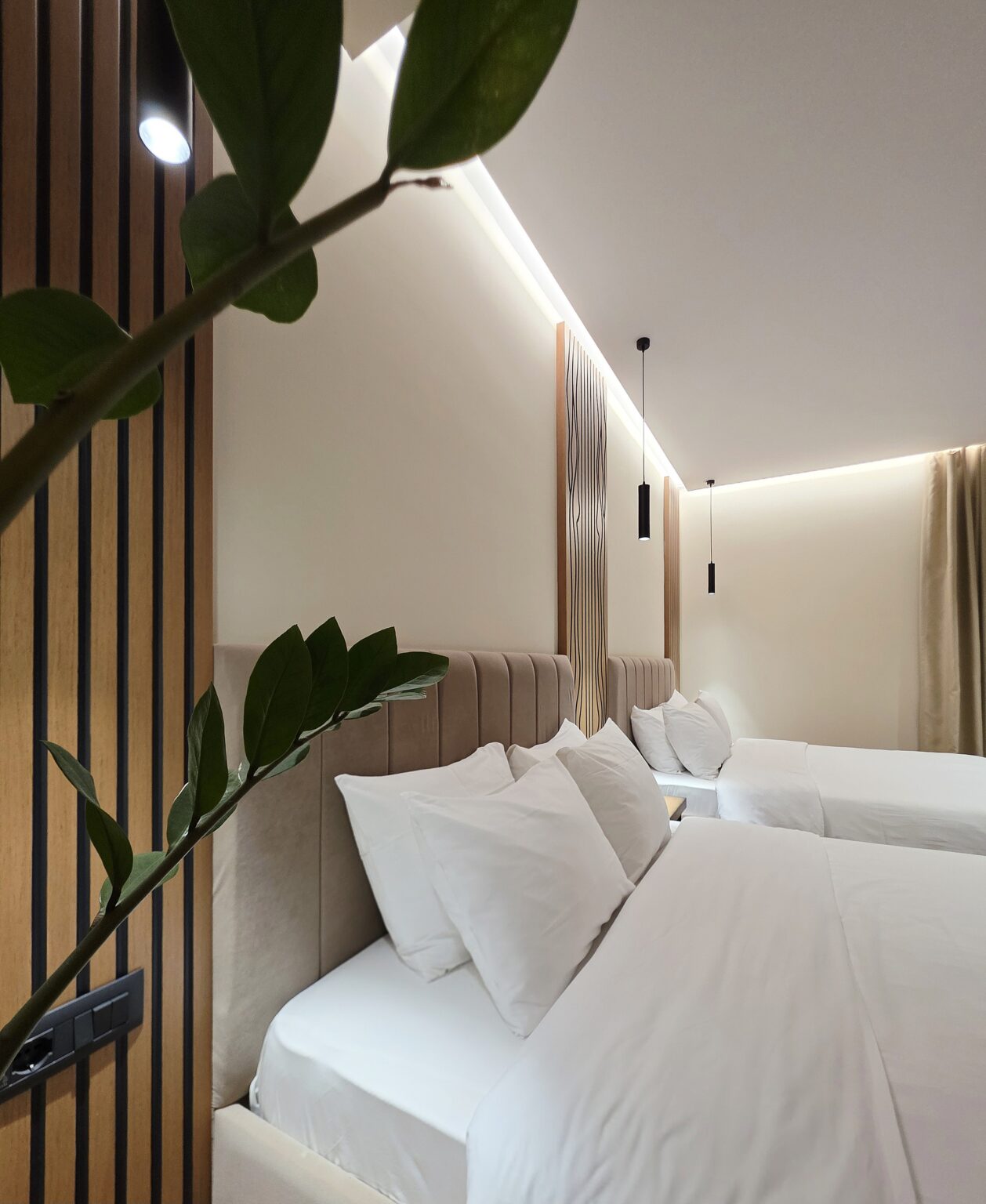 Double Twin Room headboards with white pillows behind a green plant, pendant lamps and cove lighting