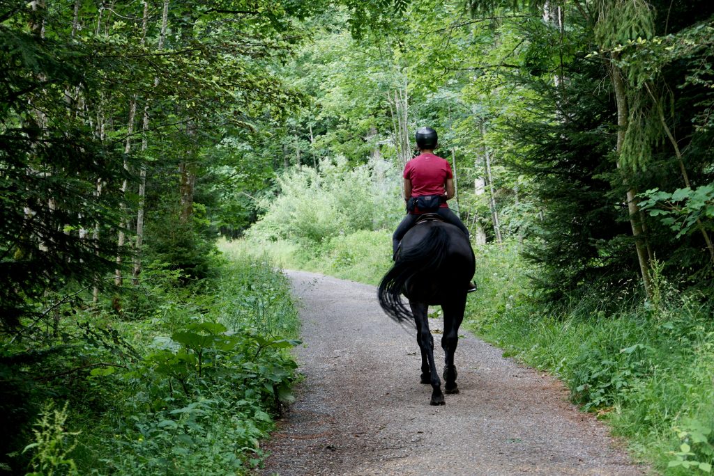 horse riding