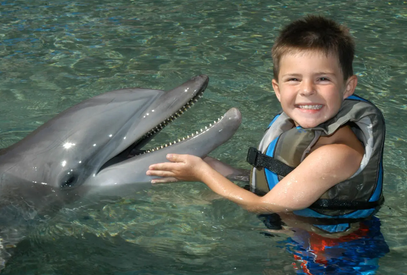 005 dolphin with kid
